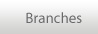 Branches